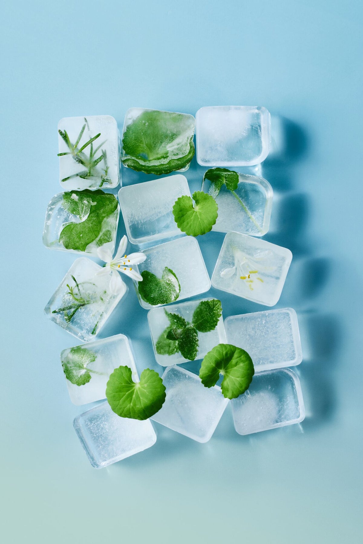 LANBELLE campaign: ice and herbs