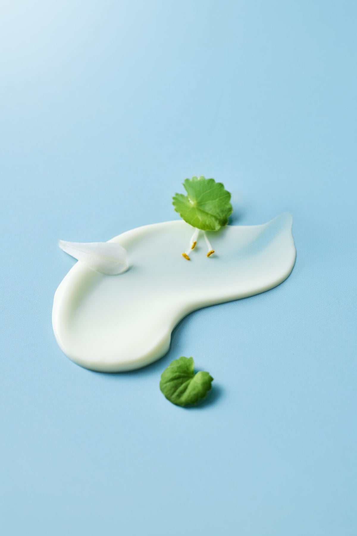 LANBELLE campaign: cream texture
