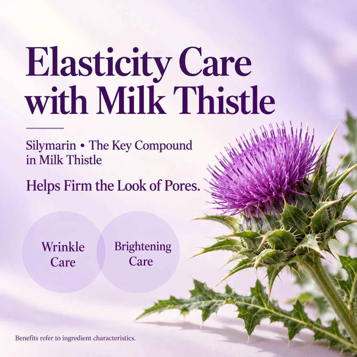 Product information: Milk Thistle Pore PHA Toner 200ml — product details 03