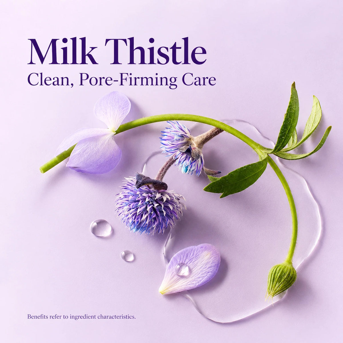 Product information: Milk Thistle Pore PHA Toner 200ml — product details 05