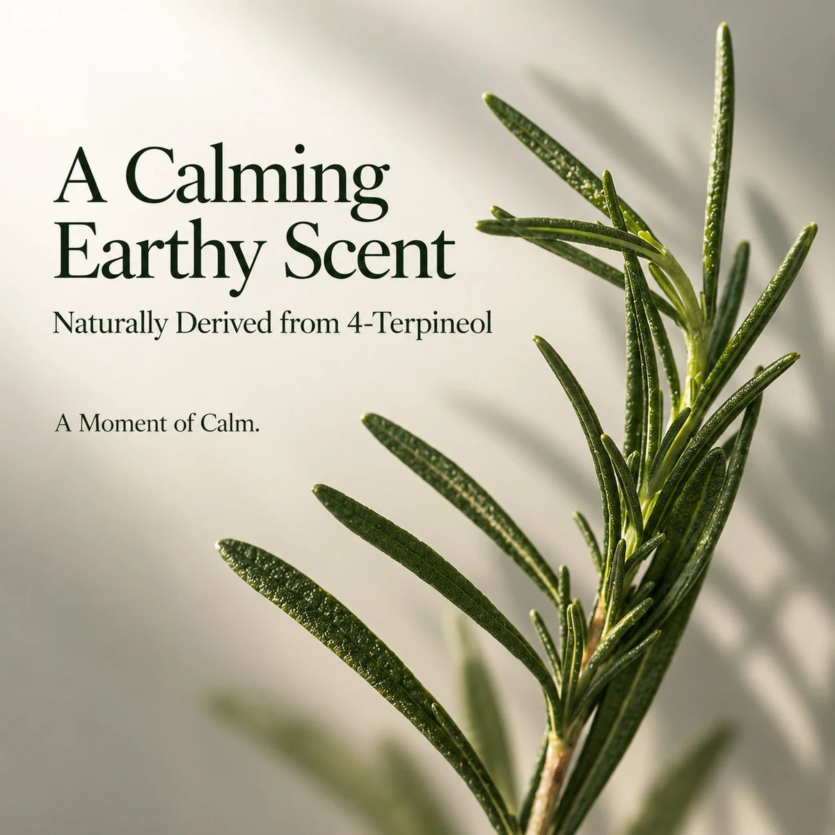 Product information: Pink Cica Calming Cream 75ml — product details 09